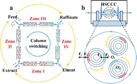 (a) Schematic representation of simulated moving bed chromatography ...
