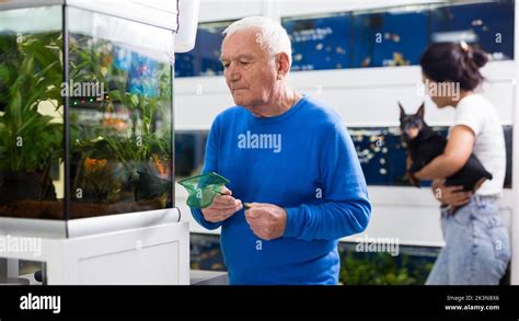 Positive Mature Man Chooses Aquarium Fish In Pet Shop Stock Photo Alamy