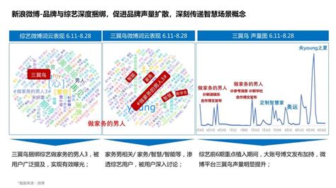 三翼鸟x《做家务的男人3》ip联合整合传播营销 2022金投赏商业创意奖获奖作品