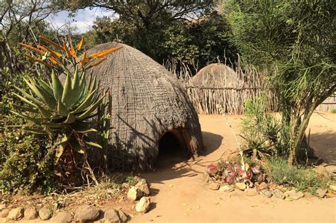 Traditional Zulu Village - Birdie and Buck