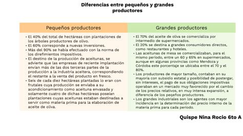 Diferencias entre pequeños y grandes productores GEOGRAFÍA 6to A by