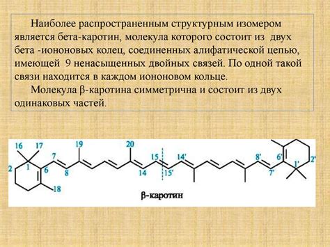 Строение, биологическая роль, источники β-каротина и способы ...