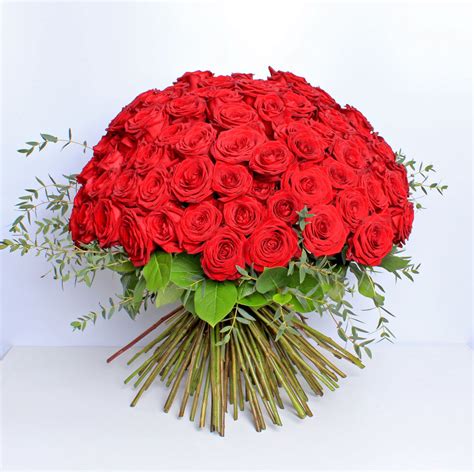 100 Red Rose Bouquet — We Are Born To Bloom