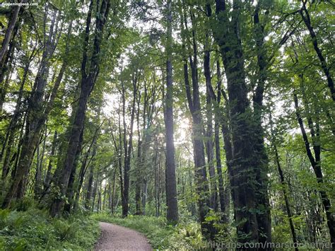 Marstonhefner Nude OnlyFans Leaks The Fappening Photo 6040902 FappeningBook