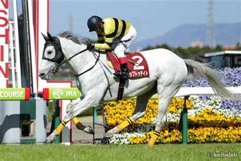 阪神スプリングジャンプ【2019年3月9日阪神8r】 競馬ラボ