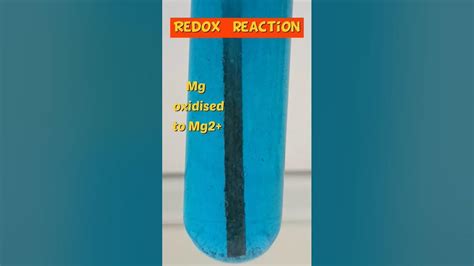 [REDOX] Reaction Between CuSO4 & Mg#shorts#science - YouTube