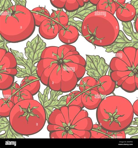 Natural Tomato Seamless Pattern Stock Vector Image Art Alamy