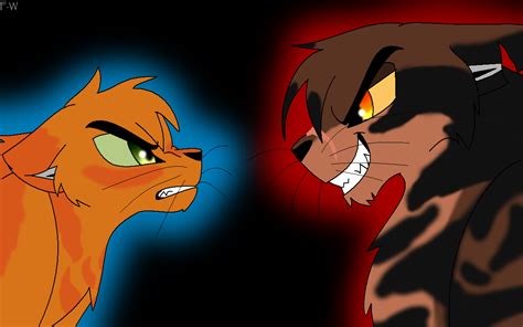 Firestar Vs Tigerstar 2012 By Faith Wolff On Deviantart