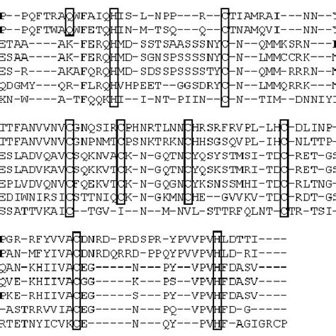 The Multiple Sequence Alignment Of 7 RNases By Our CMSA The Key Active