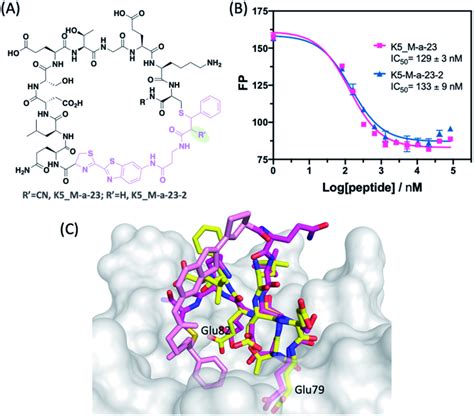 Irreversible Peptide Cyclization With M A A Chemical Structure