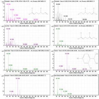 Gas chromatography-mass spectrometry (GC-MS) chromatogram of some major... | Download Scientific ...