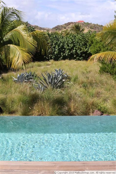 MalibuStrings Bikini Competition Gina Gallery