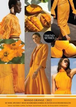 Trendmoodboards Trendsenses Fashion Trending Moodboard Color