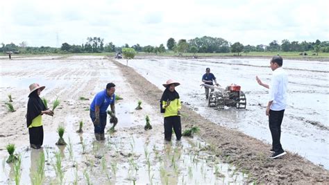 Respons Potensi Kekeringan Panjang Presiden Tinjau Pompanisasi Di