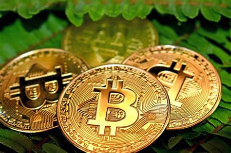 O Bitcoin Flopou Qual Ser O Futuro Das Criptomoedas Liberdade