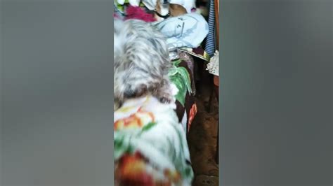 он в рюмку пернул балонка#собака#рюмка#животные#домашние - YouTube
