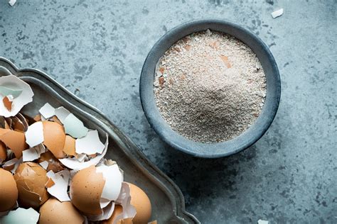 Eggshell Fertilizer for the Garden — Mushrooms & Thyme