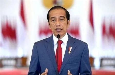 Presiden Jokowi Unggah Poster Hari Ibu Ada Cucunya Al Nahyan Pakai