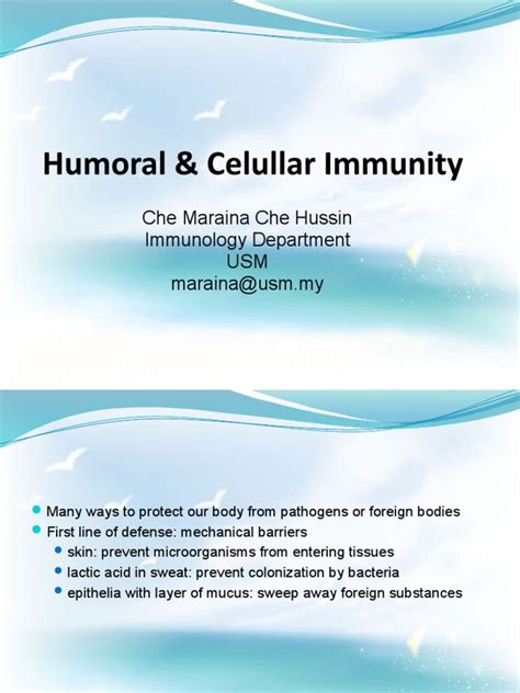Humoral And Celullar Immunity Pdf T Helper Cell Immune System