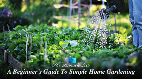 A Beginners Guide To Simple Home Gardening The Pinnacle List