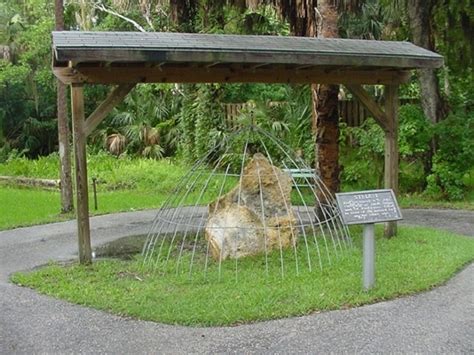 Crystal River Archaeological State Park - Crystal River, FL - Kid f ...