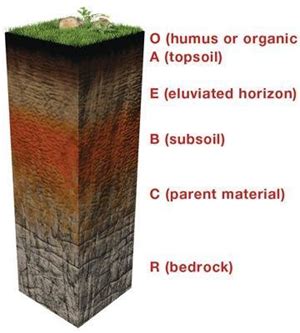 Soil Profile Diagram