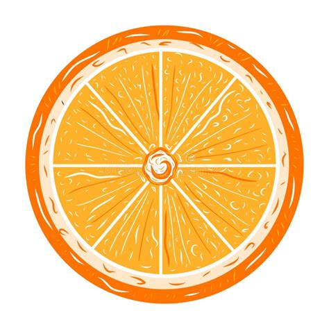 Cut Orange Fruit Wheel Stock Illustrations 50 Cut Orange Fruit Wheel