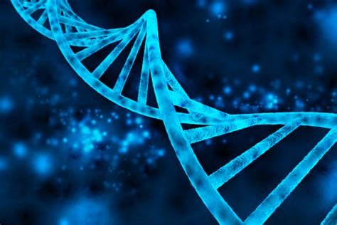 Bioinform Tica Para El An Lisis De Secuencias De Adn Cimap