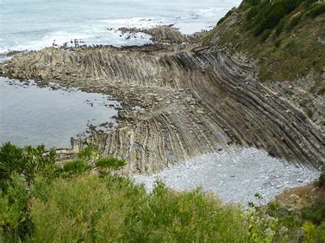 Cpie Littoral Basque Visite Terrain C Te Basque Un Littoral En