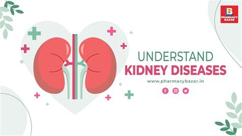 Understanding Kidney Disease Types Symptoms And Treatments Youtube