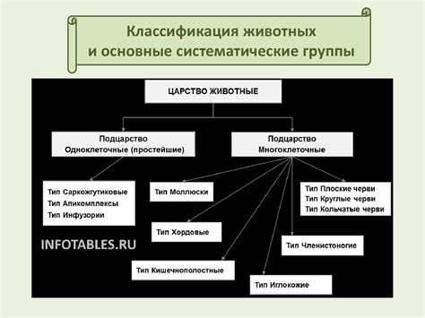 Классификация животных и основные систематические группы - презентация ...