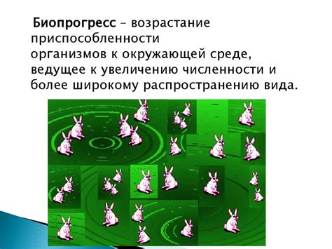 Микро- и макроэволюция (1) - online presentation