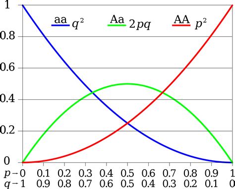 Hardy–Weinberg principle - Wikipedia