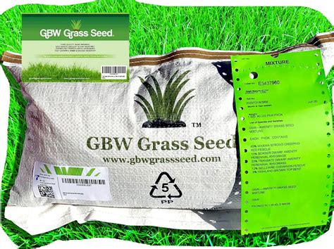 5kg Grass Seed Covering 160 Sqm Premium Quality Fast Growing And Hard Wearing Grass Seed