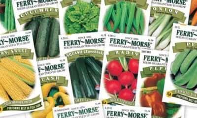 Free Vegetable Seeds | FreeSamples.co.uk