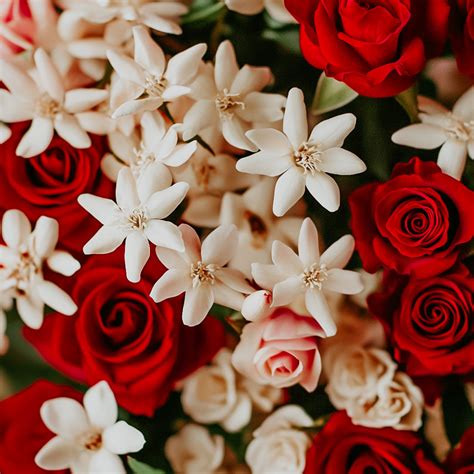Sweet Jasmine And Rose Fragrance Oil Doop Fragrance Co