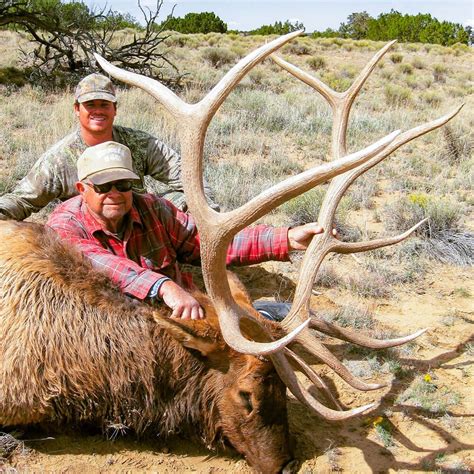 Guided Rifle Elk Hunts in New Mexico | BMO Hunts