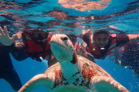 Pulau Perhentian Snorkeling