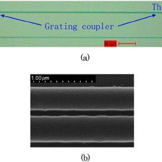 Color Online Normalized Through Port And Drop Port Spectra