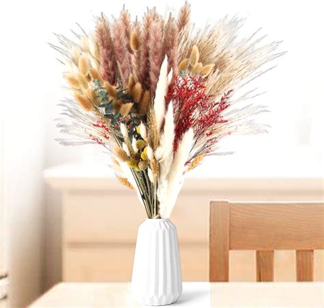 Pcs Pampas Sechees Naturelle Decoration Pampas Bouquet Fleurs