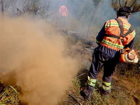 Alerta Roja En Nacimiento Y Melipeuco Por Incendios Forestales Adn Radio