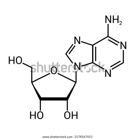 Chemical Structure Adenosine C10h13n5o4 Stock Vector (Royalty Free) 2178567453 | Shutterstock