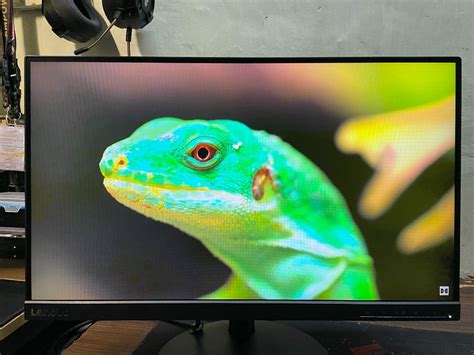 Lg Full Hd Hz Ips Frameless Gaming Monitor Freesync Computers Tech