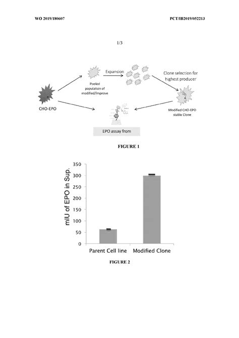 Recombinant Cho K1 Cell Line With Integrated Technology For Enhanced