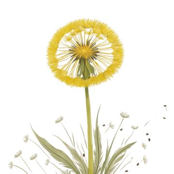 Bright Yellow Dandelion Yellow Flower Dandelion Png Transparent