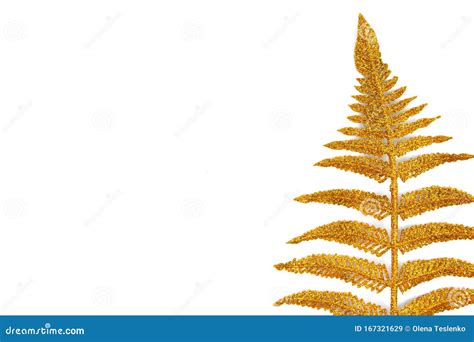 Gold Coloured Fern Branch Isolated On White Background Greeting Card