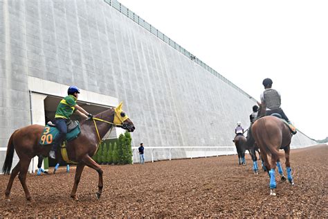 リニューアルした美浦の坂路で試走会 騎乗した小島調教師「非常に状態が良く、〝最高級の絨毯〟といった感触」 競馬ニュース・特集なら東スポ競馬