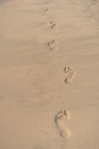 Footprints In The Sand On The Beach In Dubai Stock Photo Download