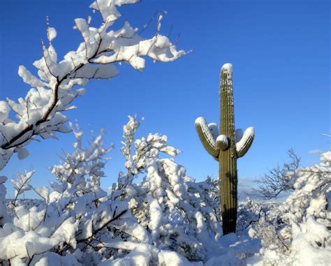 Winter Tips From Tucson Water ⋆ Salt Property