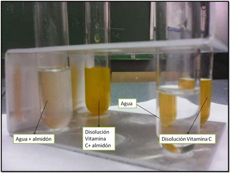 Biolog A Humana Determinaci N De La Vitamina C